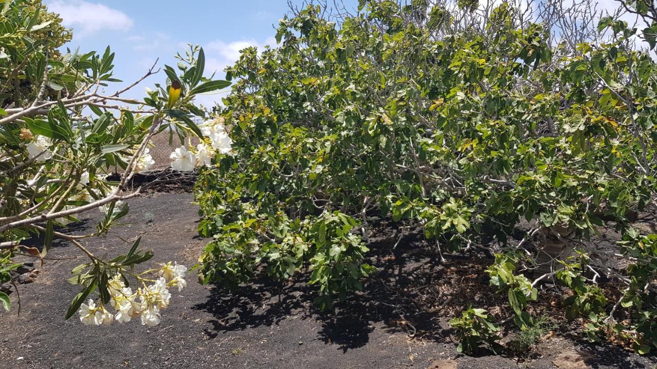 Villa Oasis Vasiliko Lanzarote - Relax Tías Esterno foto
